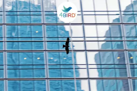 4BIRD® - účinná ochrana ptactva v architektuře pomocí skla s leptaným vzorem