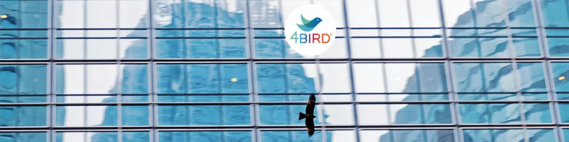 4BIRD® - účinná ochrana ptactva v architektuře pomocí skla s leptaným vzorem