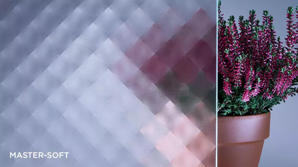 MASTER-SOFT®